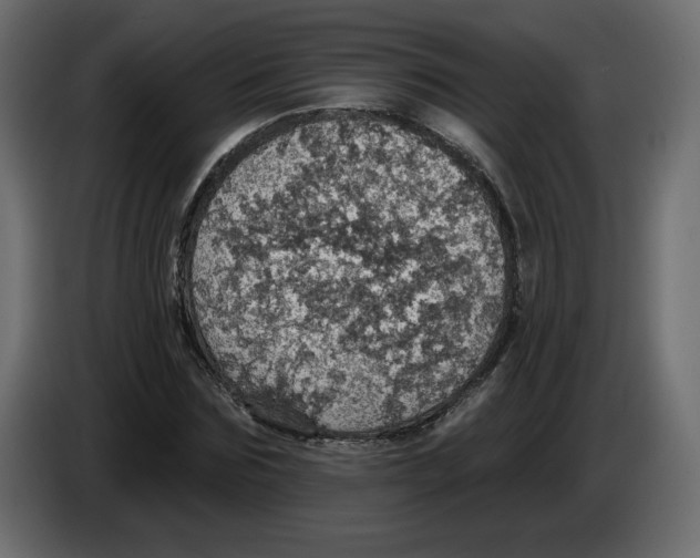 X0000084540875200703231712