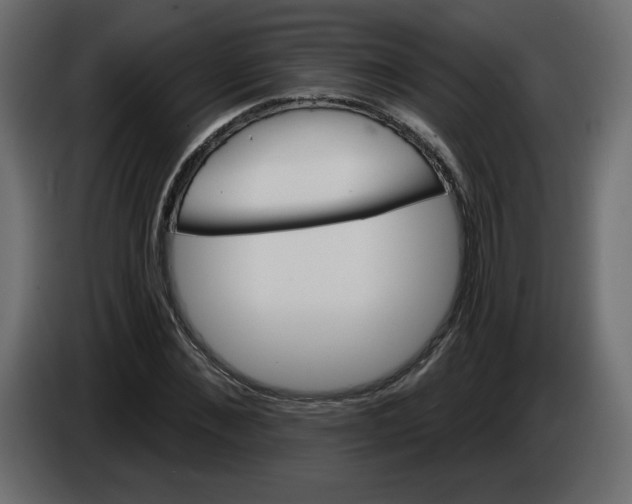 X0000084540876200703231712