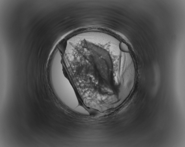 X0000084540879200703231712