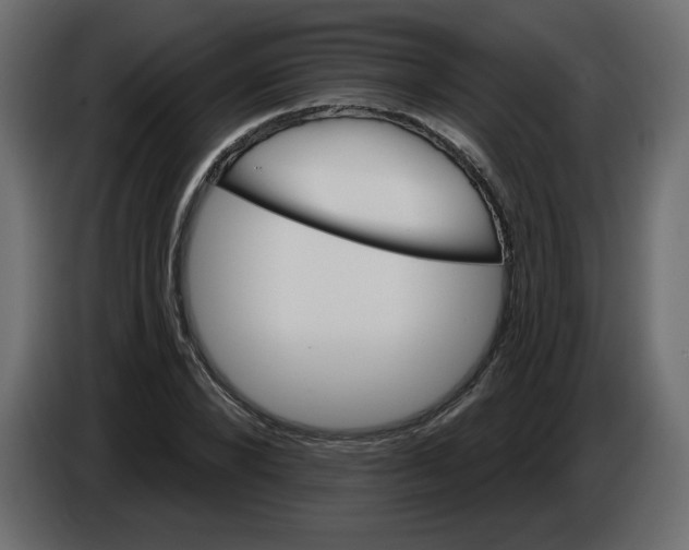 X0000084540880200703231712