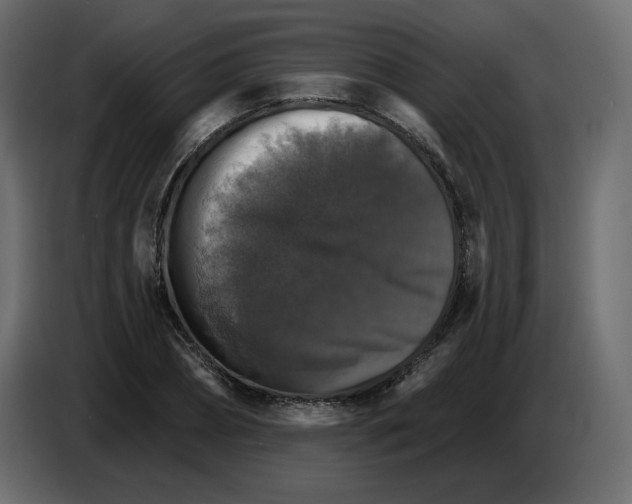 X0000084540882200703231712