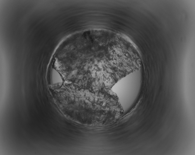 X0000084540883200703231712