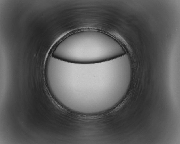 X0000084540884200703231712