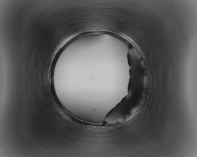 X0000084540885200703231712