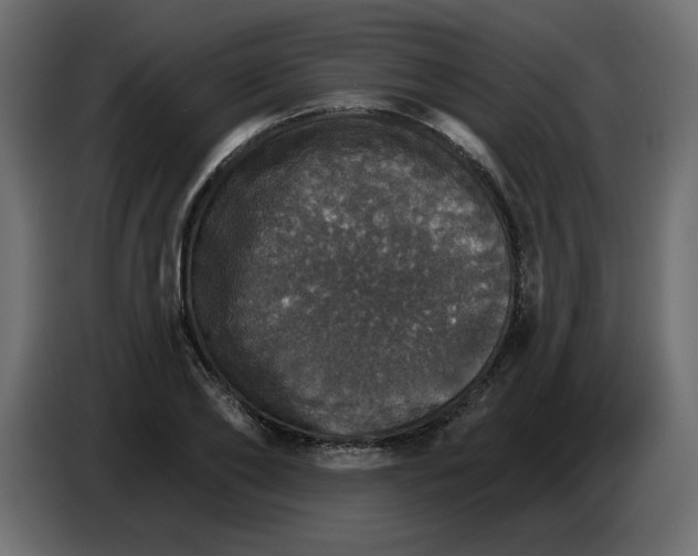 X0000084540886200703231712