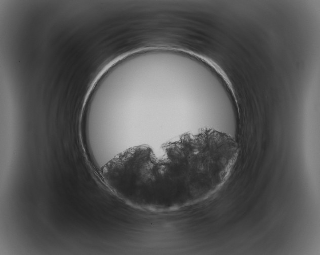 X0000084540887200703231712