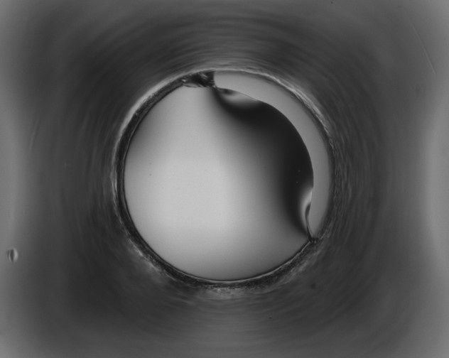 X0000084540888200703231712