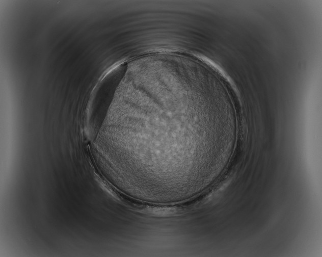 X0000084540889200703231712