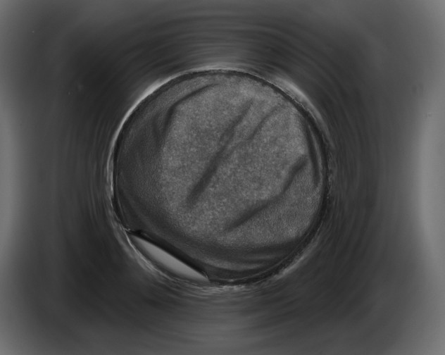 X0000084540892200703231712