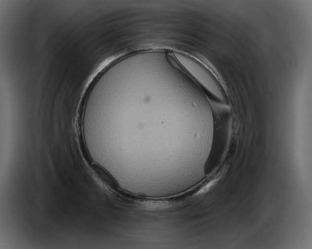 X0000084540893200703231712