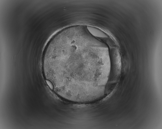 X0000084540896200703231712