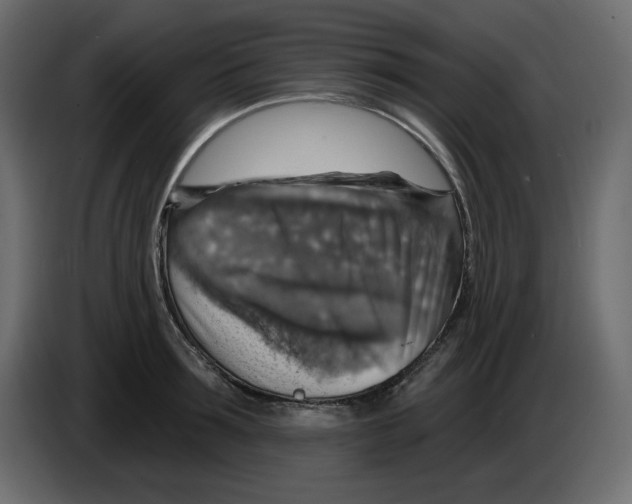 X0000084540899200703231711