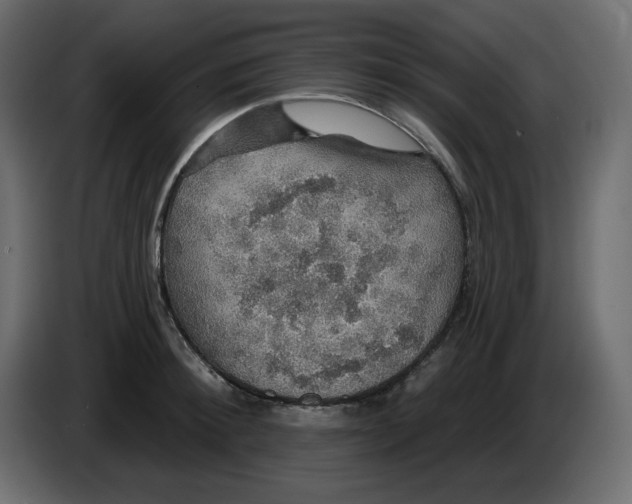 X0000084540900200703231711