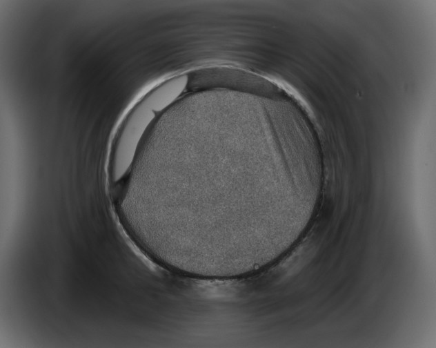 X0000084540902200703231711