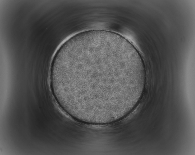 X0000084540904200703231711