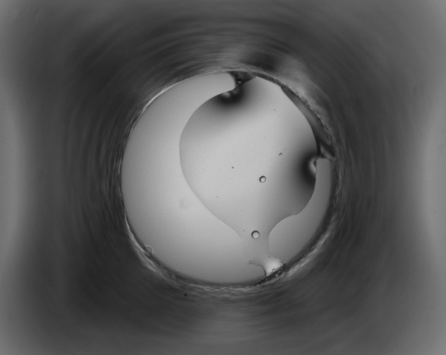 X0000084540905200703231711