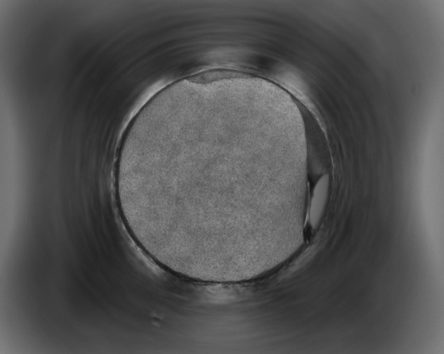 X0000084540906200703231711