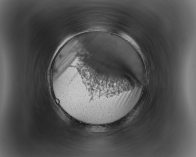 X0000084540907200703231711