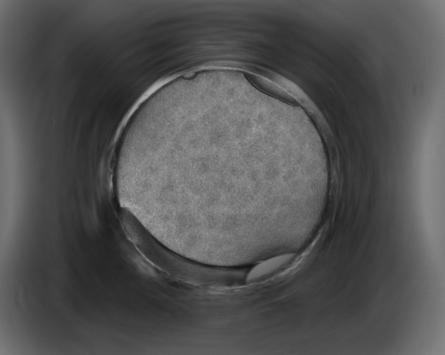 X0000084540908200703231711