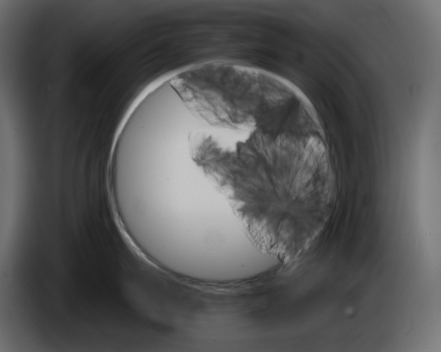 X0000084540911200703231711