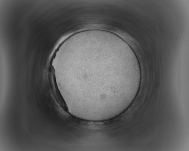 X0000084540912200703231711