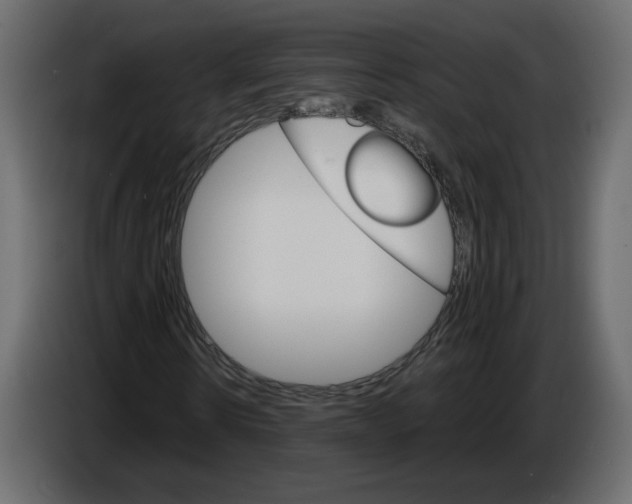 X0000084540914200703231711