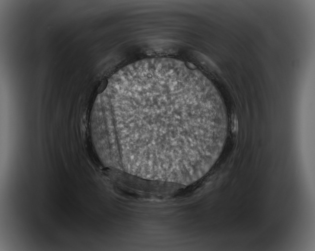 X0000084540915200703231711