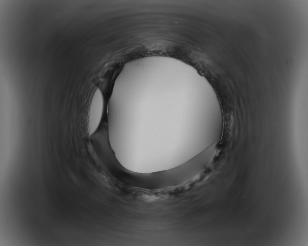 X0000084540916200703231711