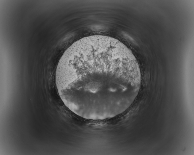 X0000084540917200703231711