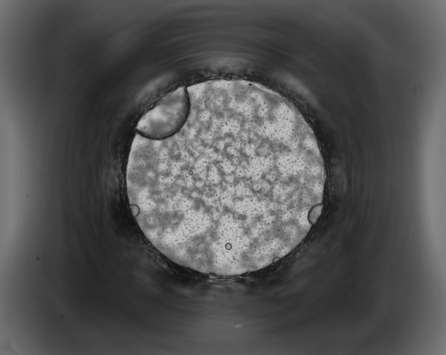 X0000084540918200703231711