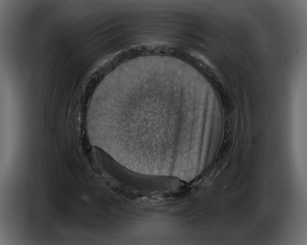 X0000084540919200703231711