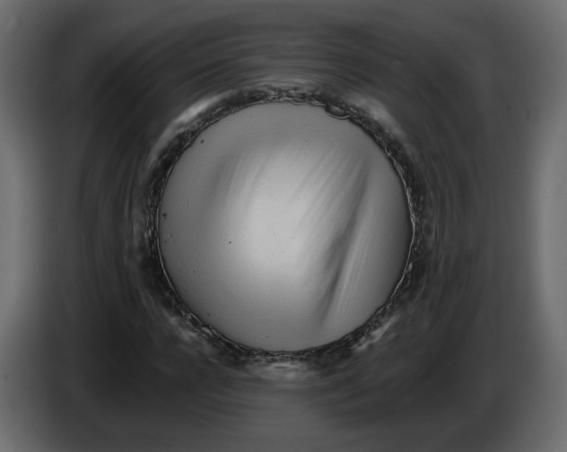 X0000084540920200703231711