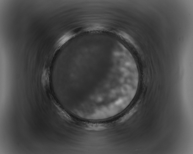 X0000084540921200703231711