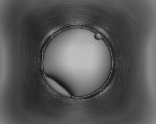 X0000084540922200703231711