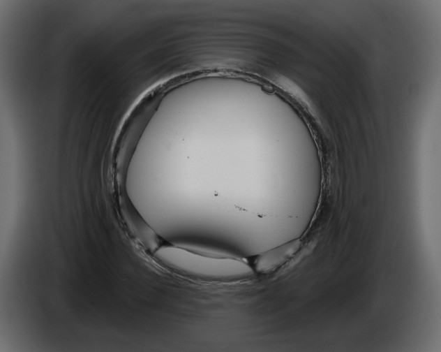 X0000084540924200703231711