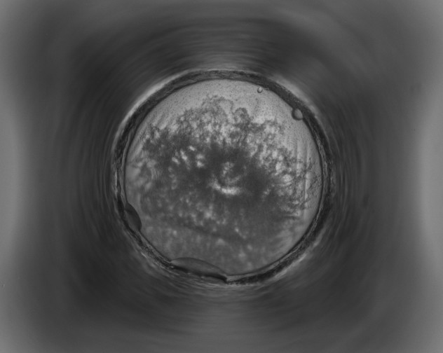 X0000084540925200703231711