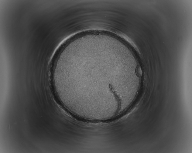 X0000084540926200703231711