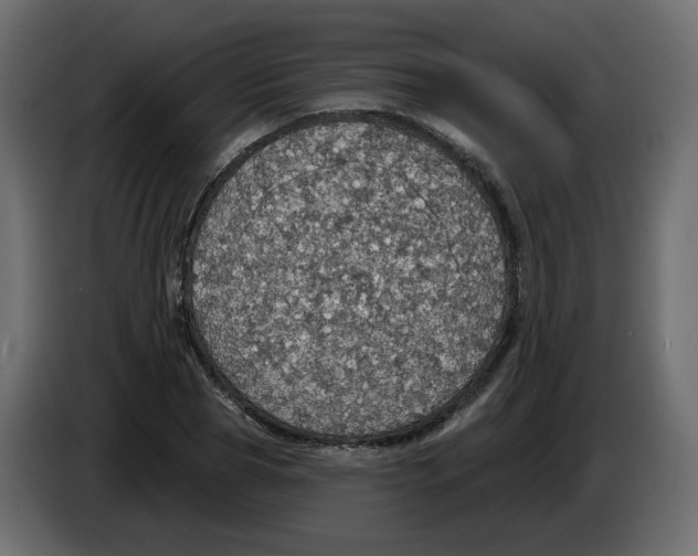 X0000084540929200703231711