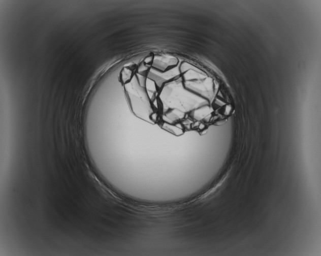 X0000084540930200703231711