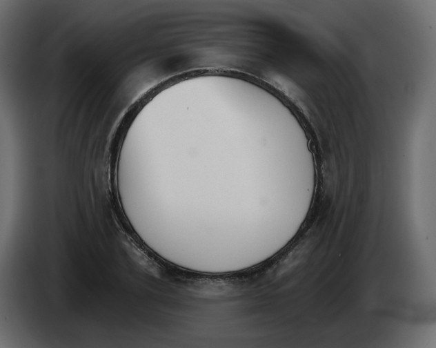 X0000084540931200703231711