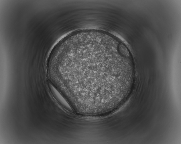 X0000084540933200703231711