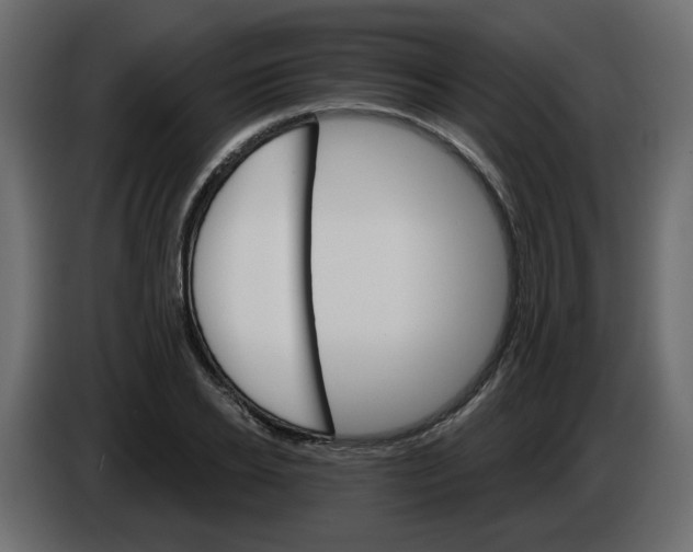 X0000084540934200703231711