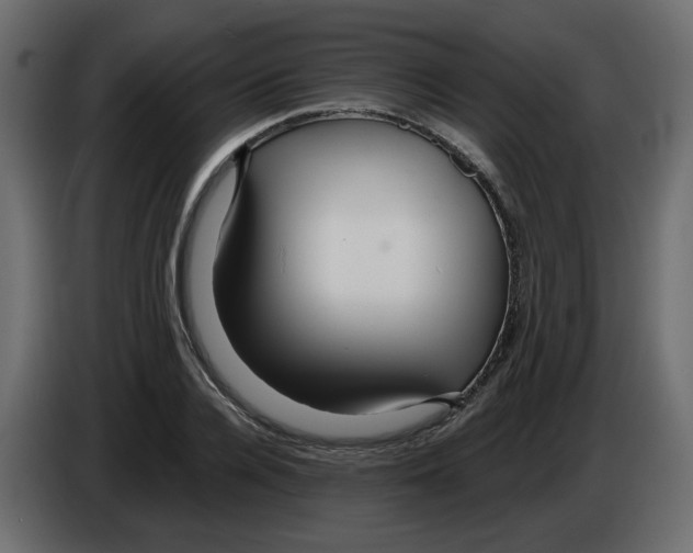 X0000084540936200703231711