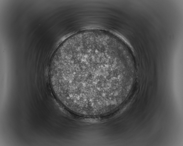 X0000084540937200703231711