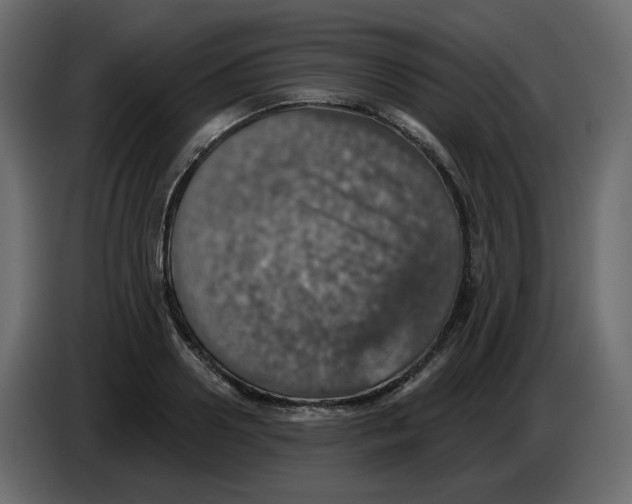 X0000084540938200703231711