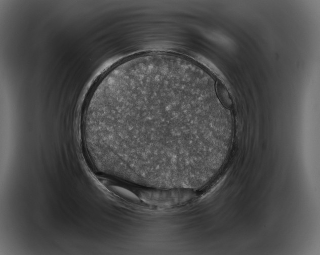 X0000084540939200703231711