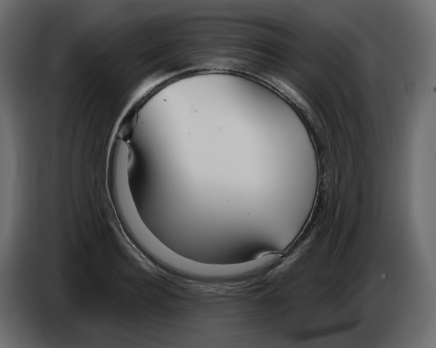 X0000084540940200703231711