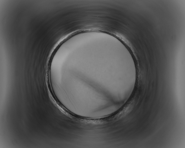 X0000084540941200703231711