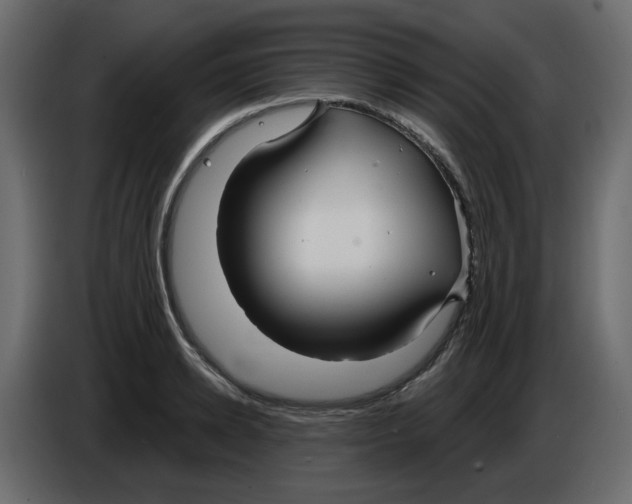 X0000084540942200703231711