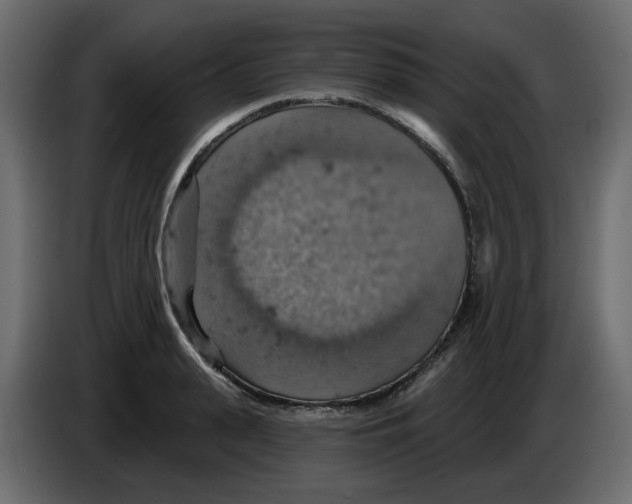 X0000084540943200703231711